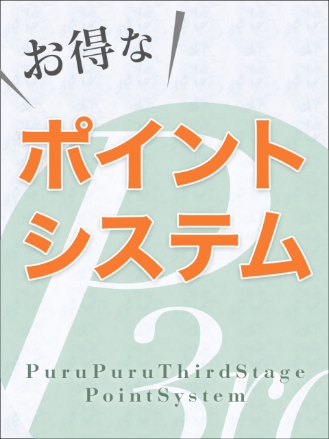 ポイント割引のご説明